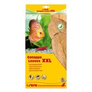 Sera Catappa Yaprağı XXL 32 cm 10 Adet Balık Yemi