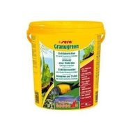 Sera Granugreen 100 gr Açık Balık Yemi