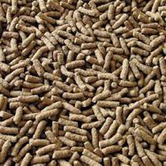 Sera Pond Granulat 50 gr Açık Balık Yemi