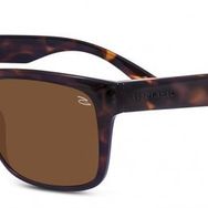 Serengeti POSITANO 8371 Polarize Erkek Güneş Gözlüğü