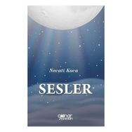 Sesler Gülnar Yayınları
