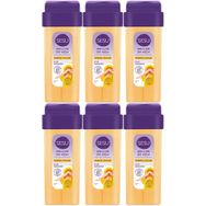 Sesu Normal Ciltler 6x100 ml Roll-On Sir Ağda