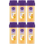 Sesu Normal Ciltler 6x100 ml Roll-On Sir Ağda