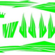Sevenkardeşler Cup Florasan Yeşil Sticker Seti