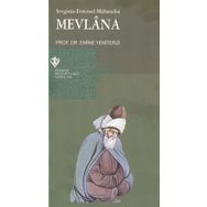 Sevginin Evrensel Mühendisi Mevlana - Emine Yeniterzi