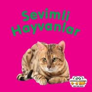 Sevimli Hayvanlar - Mini Karton Kitaplar