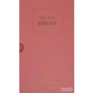 Şeyh Galib Divanı - Naci Okcu