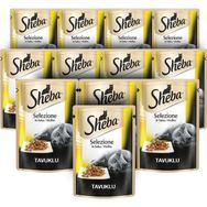 Sheba Tavuk Etli Pouch 85 gr 12 Adet Yaş Kedi Maması