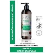 Sheida Active Shine At Kuyruğu Hindiba 500 ml Şampuan