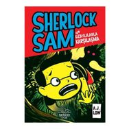 Sherlock Sam ve Uzaylılarla Karşılaşma - A. J Low Adan Jimenez Felicia Low-Jimenez
