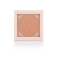 Show By Pastel No: 102 Purity Pudra