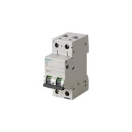 Siemens 5SL4220-7 10kA 20A 2 Fazlı C Tipi Yavaş Karakterli Otomat Anahtarlı Otomatik Sigorta