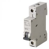 Siemens 5SL6108-7YA 6kA 8A 1 Fazlı 5SL Classic C Tipi Yavaş Karakterli Anahtarlı Otomatik Sigorta