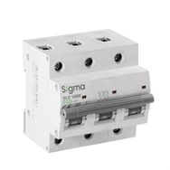 Sigma SLD10000 10kA 3P C100 Otomatik Sigorta