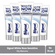 Signal White Now Sensitive 5x75 ml Diş Macunu