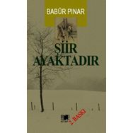 Şiir Ayaktadır - Babür Pınar