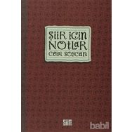 ŞİİR İÇİN NOTLAR - CELAL SOYCAN