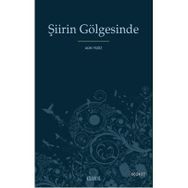 ŞİİRİN GÖLGESİNDE - ALIM YILDIZ