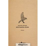 Şiirin Kanatları Altında - Nurettin Durman