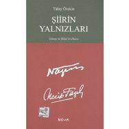 Şiirin Yalnızları - Tülay Özekin