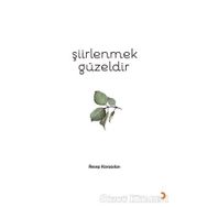 Şiirlenmek Güzeldir - Recep Karaaslan
