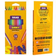 Silka 5790140 Shiny 12 Renk Kuru Boya