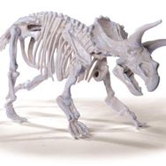 Simba 104342547 Triceratops Dino İskelet Kazı Seti