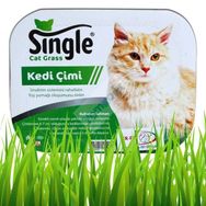 Single Natural Kedi Çimi