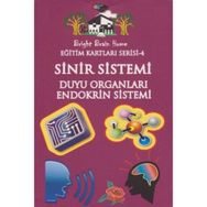 Sinir Sistemi, Duyu Organları, Endokrin Sistemi - Eğitim Kartları Serisi 4 - kollektif