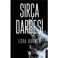 Sırça Darbesi - Esra Özlem Dökmen