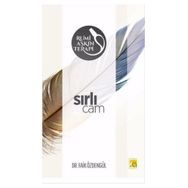 Sırlı Cam - M. Faik Özdengül