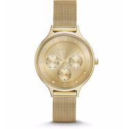 Skagen SKW2313 KadınKol Saati