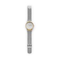 Skagen SKW2381 Bayan Kol Saati