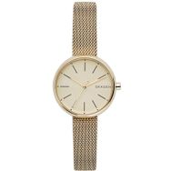 Skagen SKW2614 Bayan Kol Saati