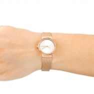 Skagen SKW2665 Kadın Kol Saati