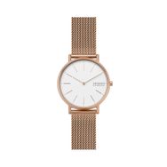 Skagen SKW2784 Kadın Kol Saati