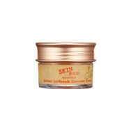 Skinfood Salmon 02 Concealer