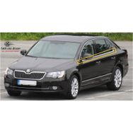 Skoda Süper B6 2008-2014 Krom Cam Çıtası