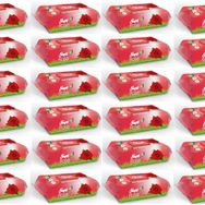 Sleepy 90x36'lı Set Gül Islak Havlu