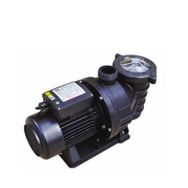 SMP 1 Hp 380 V Havuz Pompası