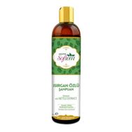 Softem 400 ml Koenzim Q10 Isırgan Şampuanı