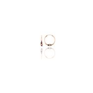 Söğütlü Silver Gümüş Rose 12 mm Mini İşlemeli Halka Küpe