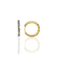 Söğütlü Silver SGTL10192GOLD Altın Rengi Gümüş 17 Mm Top Halka Küpe