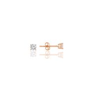 Söğütlü Silver SGTL10461ROSE Gümüş Mini Tek Taş Gümüş Küpe