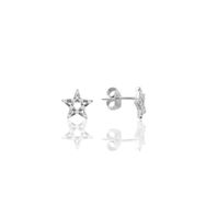 Söğütlü Silver SGTL10778 Pırlanta Montürlü Yıldız Modeli Gümüş Küpe