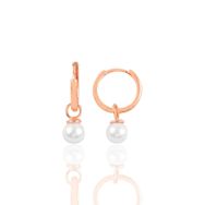 Söğütlü Silver SGTL10873 Rose 14 mm Incili Halka Gümüş Küpe