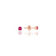 Söğütlü Silver SGTL10874 Rose 4 mm Fuşya Tek Taş Gümüş Küpe