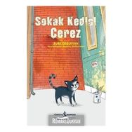 Sokak Kedisi Çerez - Suat Çağlayan