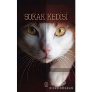 Sokak Kedisi - Yücel Maral