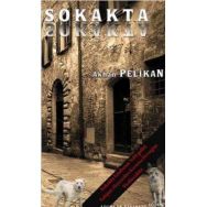 SOKAKTA - AKHAN PELIKAN